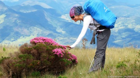 Buquês de flores